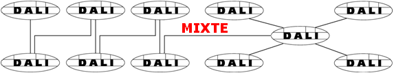 mixte