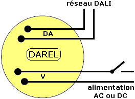 darel