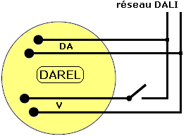 darel
