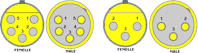 XLR