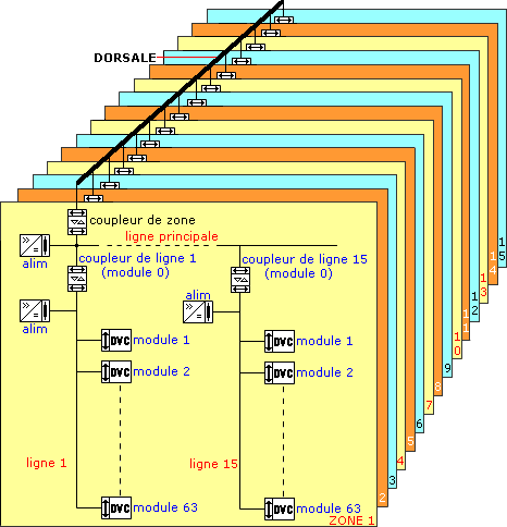 topologie