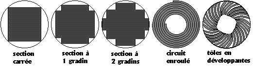 noyau