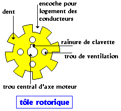 t&ocirc;le