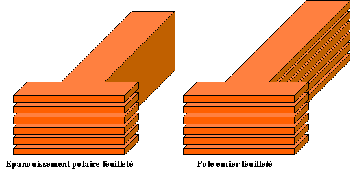 &eacute;panouissement
