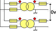 homologues