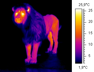 thermographie