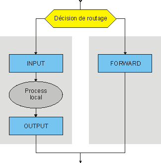 organigramme