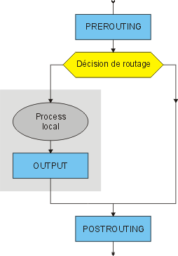 organigramme