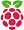 raspi