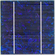 cellule