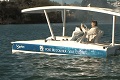 Sun Sea Rider