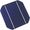 cellule