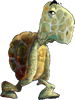 tortue